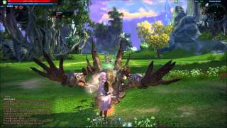 Tera CPE high elf male mystic