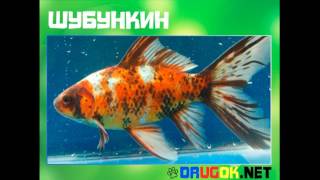 Шубункин
