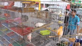Mercado de la Cruz, en Querétaro Capital, cumple 35 años.