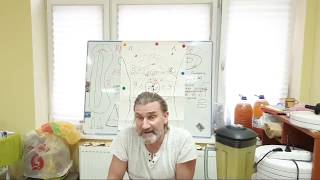 Почему не нужна соль не много о сахаре. Сергей Будилов. Методика Алфей
