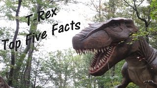 T-REX - Tyrannosaurus rex - Top Five Facts!  ?