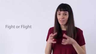 What is the Lightning Process and How Can it Help Me?