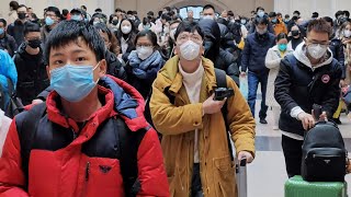WHO says it's 'too early' to declare coronavirus global emergency