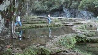 Semuc Champey Near Coban Guatemala 2000