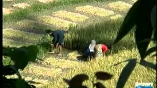 Geography of the World  South Asia  Land and Resources
