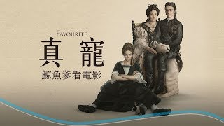 【鯨魚爹看電影】《真寵》真愛？爭寵！（91屆奧斯卡最佳女主角、76屆金球獎喜劇類最佳女主角）