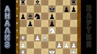 Шахматное видео: охота на слона (часть 3)