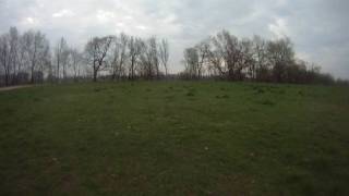 T-rex 600 + GoProHD 1st test run
