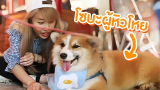 คอยแล้วคอยเล่าเฝ้าแต่คอย ☀ Soba the series ☀ Sunbeary