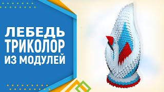 Как сделать Оригами Лебедя | Модульное оригами Лебедь для начинающих
