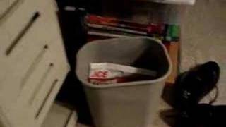 Louie searching the trash can for a mouse.
