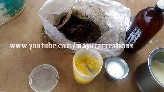 வீட்டுத்தோட்டம் எளிய முறையில் பஞ்சகாவியம் தயாரிப்பது எப்படி ? How to Prepare a Panchakaviyam ?
