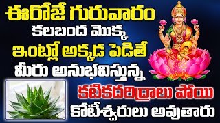ఈరోజే గురువారం మీకు పట్టిన దరిద్రంపోయి కోటీశ్వరులు అవుతారు..కలబంద మొక్క అక్కడపెడితే చాలు | KALABANDA