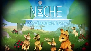 Niche R4 #17 - Rodzinka jeżozwierzy i ataki drapieżników