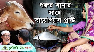 Cow Farm& Biogas ষাড় গরু/বাছুর গরু/গাভী গরু’র খামার। সাথে বায়োগ্যাস প্লান্ট।