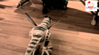 Робот динозавр на радиоуправлении Robosaur TT320 Saletoys.net