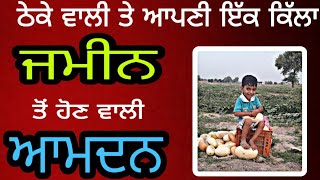ਇੱਕ ਏਕੜ ਚੋ ਹੋਣ ਵਾਲੀ ਆਮਦਨ ਦਾ ਹਿਸਾਬ  | ਠੇਕੇ ਵਾਲੀ ਜਮੀਨ ਤੇ ਆਪਣੀ ਜਮੀਨ | PiTiC Live