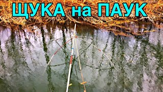 РЫБАЛКА на ПАУК!! ЩУКА на ПОДЪЁМНИК в БОЛОТЕ!! ЩУКА НА ДЖИГ!!