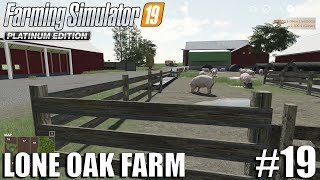 Delivering Pigs & Harvesting Sunflowers | Lone Oak 2.0 | Farming Simulator 19 Timelapse #19