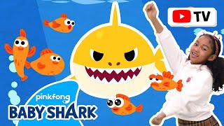 [4k] Six Little Fish | Kids Choreography | Dance Along 