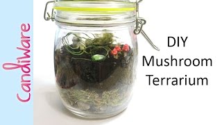 DIY: Mushrooms Terrarium - Polymer Clay, FIMO