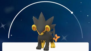 Evolving shiny Shinx to shiny Luxray (Pokemon go)