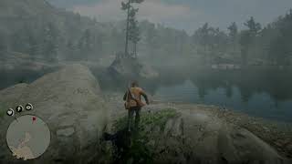 Red Dead Redemption 2 карта сокровищ Джека Холла ч.3