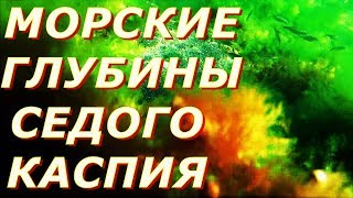 ГЛУБИНЫ КАСПИЙСКОГО МОРЯ !!! АВГУСТ 2017г. СУПЕР СЪЁМКИ ПОД ВОДОЙ В МОРЕ !!!