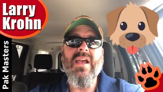 How to keep your puppy’s attention and achieve enjoyment together