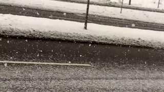 A Snowing Snowy Day in Berlin on 9 December 2010