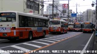 【東武バス】かしわ祭り迂回運行の自動放送