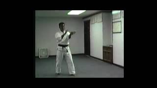 Uechi Ryu class with Sensei Nakamatsu. (Part 3: Class)