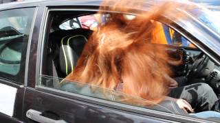 Автозвук ДбДраг 16.05.2015 г.Волгоград Team Alphard