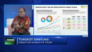 Sawit RI Jalan Sendiri-Sendiri, Hulu & Hilir Tak Terintegrasi