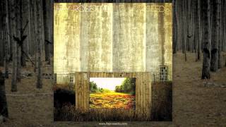 Hey Rosetta! - Bandages