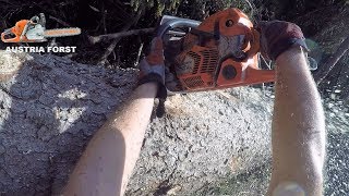 Ja man merkt den Kraft Unterschied zur Husqvarna 572 XP®