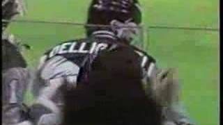 Nice Lacrosse Goal