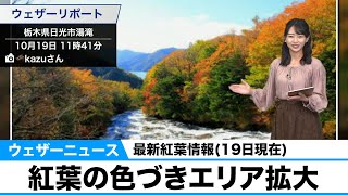 最新紅葉情報(19日現在)／紅葉の色づきエリア拡大
