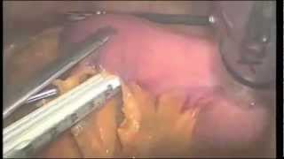 So You Want to be a Surgeon Part 1