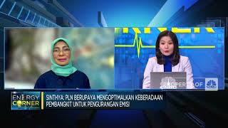 PLN Tunda Operasi Pembangkit Baru, Efek Mau Suntik Mati PLTU?