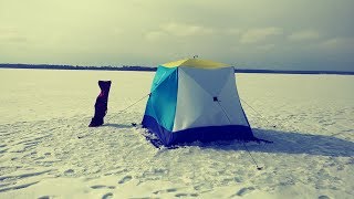 Секретная "эфиопская" прикормка на леща. Ловля леща зимой. Ловим в палатке.