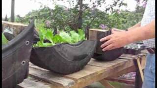 Tire Garden Experiment