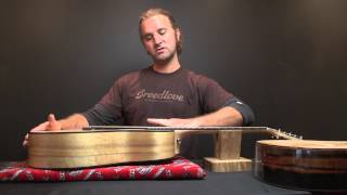 Breedlove Guitar Support: Instrument Humidification