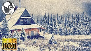 Метель И Пурга, Звуки Ветра Для Отдыха И Сна. 4 Часа