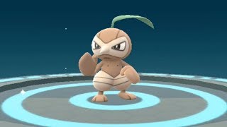 New Gen 3 Pokemon Go Seedot to Nuzleaf Evolution Showcase Pokédex 273 and 274