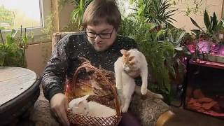 Турецкий ван