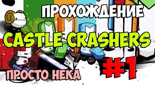 Castle Crashers - прохождение (1из2)
