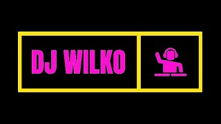 dj wilko - pussy lounge mix the end of 2017