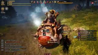 BDO TR SOLO BOSS KESME NİNJA