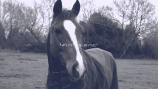 Goodbye Ollie, my hopeless fairytale ♥